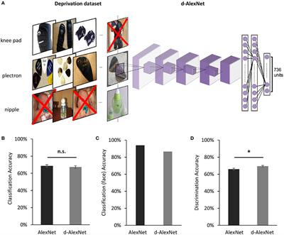 The Face Module Emerged in a Deep Convolutional Neural Network Selectively Deprived of Face Experience